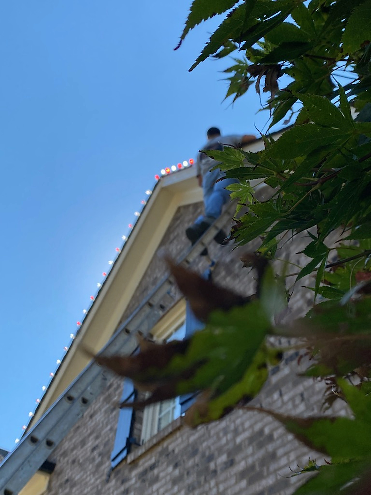 Dreamland Christmas light installer on a ladder hanging warm white lights on an Atlanta rooftop