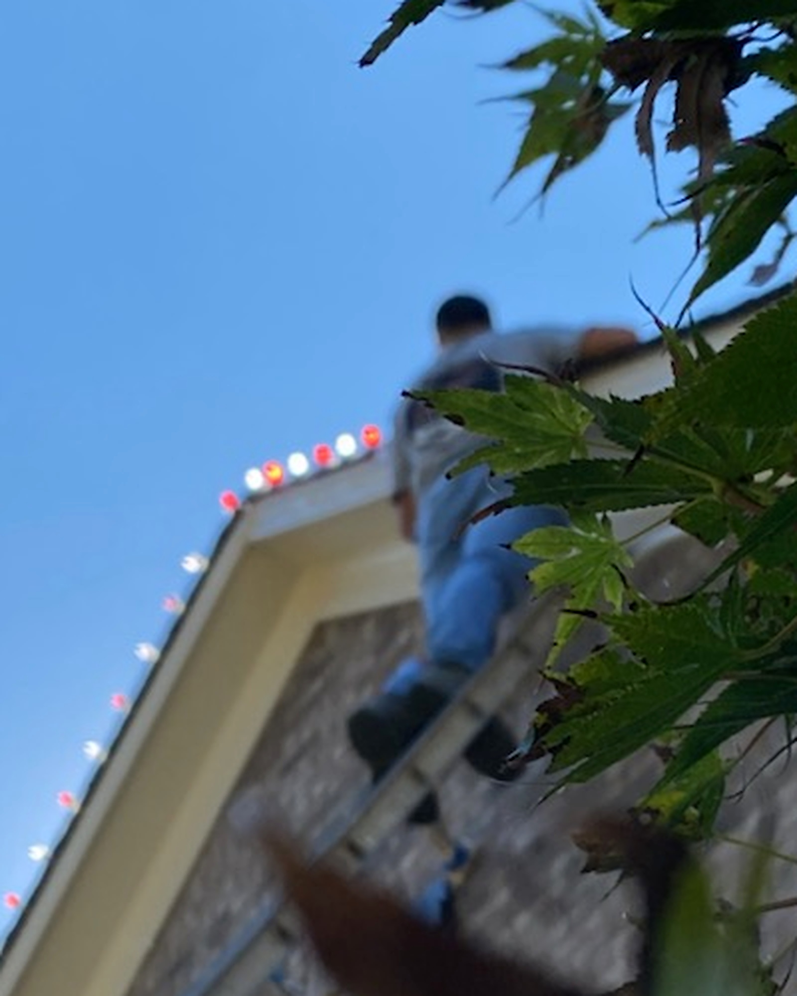 Dreamland holiday light installer working in Metro Atlanta